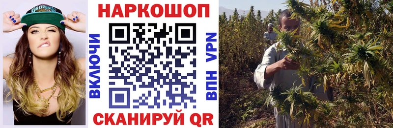 A-PVP Азнакаево