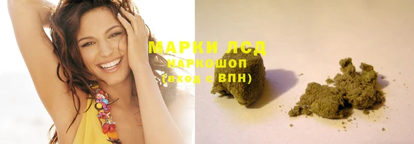 стафф Алзамай