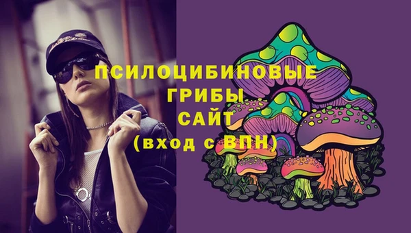 винт Армянск
