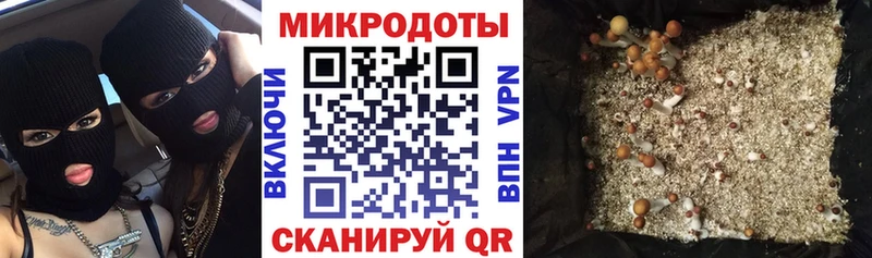 Галлюциногенные грибы GOLDEN TEACHER  Азнакаево 